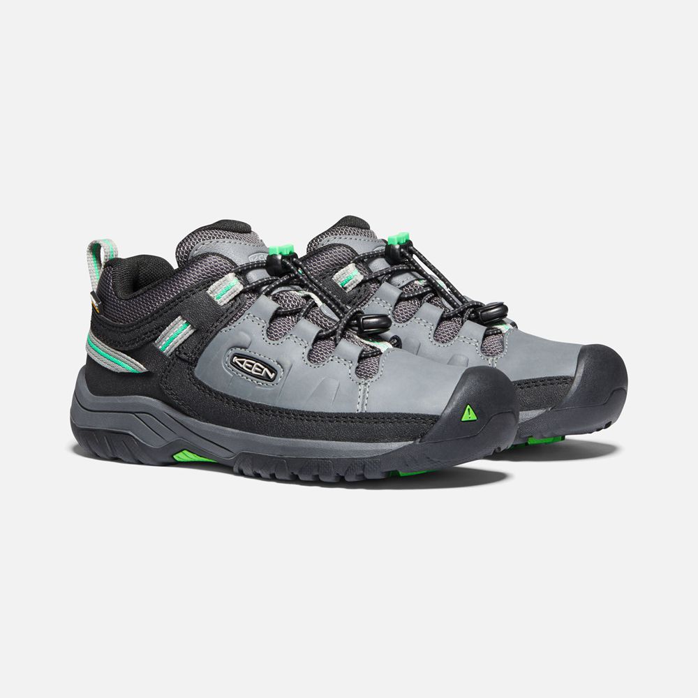 Keen Wandelschoenen Kinderen Grijs/Groen - Targhee Waterproof - 23598-EDTI